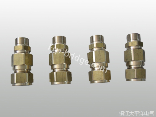 黃(huang)銅铠裝(zhuang)電纜密(mi)封接頭(tou)